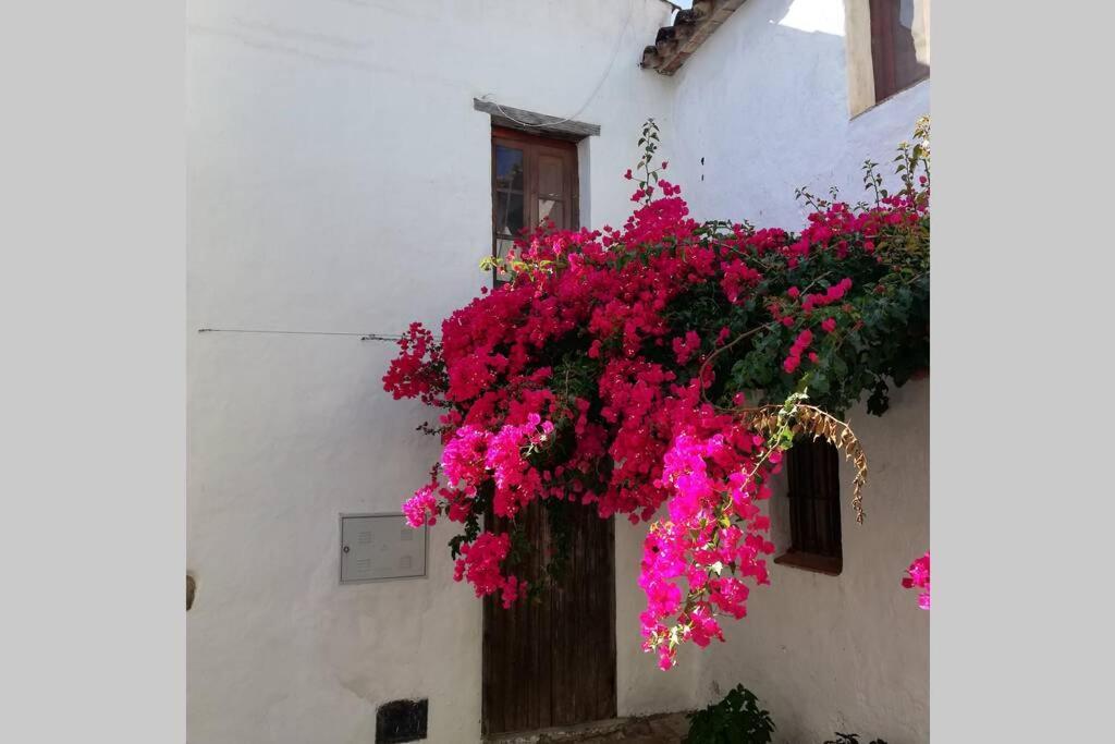 Holiday home Casa En Fortaleza Medieval